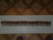 27012009235.jpg