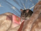 IMG_0138.jpg