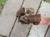 DSCF8750.JPG