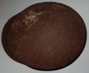 DSC08115.JPG