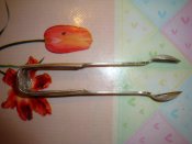 DSC04165.jpg
