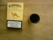 DSC00115.jpg