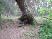 IMG_4498.JPG