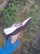 WP_001543.jpg