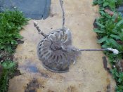 DSCN0367.jpg