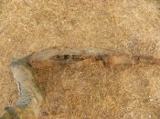 DSCN5950.JPG
