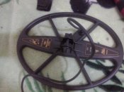 CAM00350.jpg