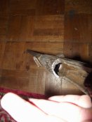 DSCF0396.JPG