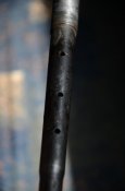 DSC_4313.JPG