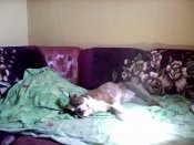 Snapshot_20130608_2.JPG