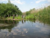 IMG_0668.JPG