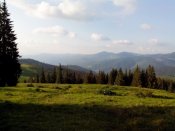IMG_20140607_191633.jpg