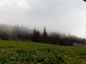 IMG_20140608_144252.jpg