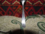 IMG_1181.jpg