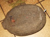 IMG_3559.JPG