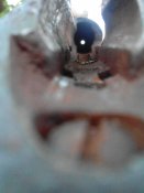 IMG_20140611_183941.jpg