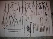 DSC01134.JPG