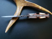 DSC01798.jpg