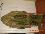 DSCN2930.JPG