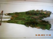 DSCN3253.JPG