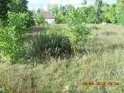 DSCN3135.JPG