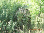 DSCN3136.JPG