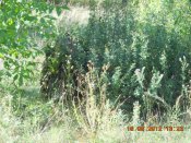 DSCN3109.JPG