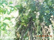 DSCN3111.JPG