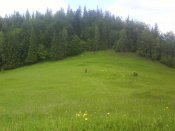 DSC02197.JPG