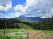 IMG_1183.JPG