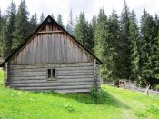 IMG_1184.JPG