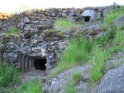 IMG_1937.JPG