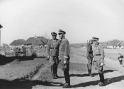 himmler_wiking2.jpg