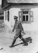 himmler_wiking3.jpg