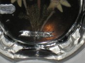 IMG_3048_Resized_1.JPG