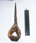 2-sverhu.jpg