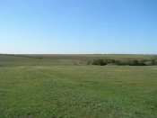 DSCN3121.jpg