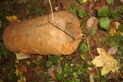 PICT0022.jpg