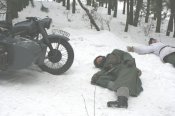 Изображение 239.jpg
