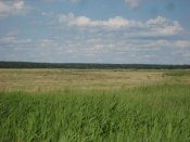 IMG_0857.JPG