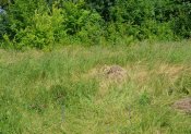 КамК4.JPG