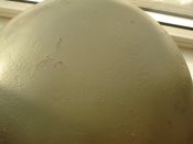 DSC08950.jpg