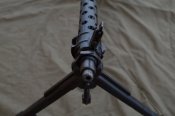 IMGP1698.JPG