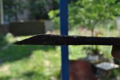 DSC_4881.JPG