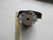 DSCN0680.JPG