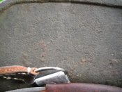 DSCN0562.JPG