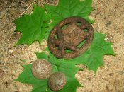 DSCN5041.jpg