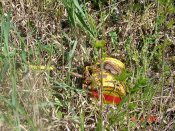 DSC01480.JPG