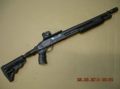 Изображение 1169.jpg