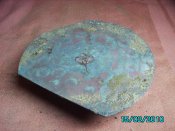 IMG_1538.jpg